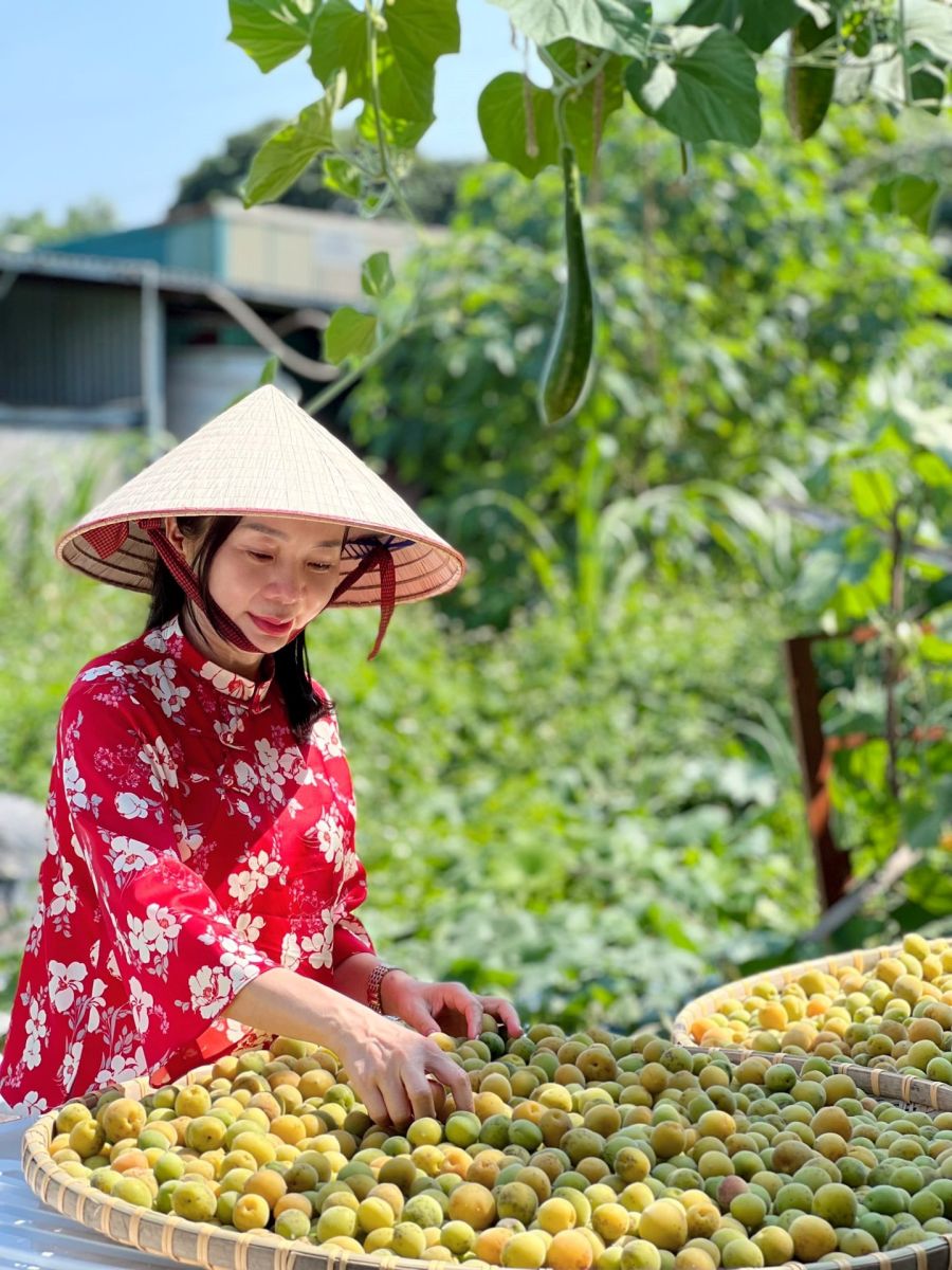 Ngoài ra, dầu chiết xuất từ hạt mơ còn được sử dụng trong các sản phẩm chăm sóc da Ngoài ra, dầu chiết xuất từ hạt mơ còn được sử dụng trong các sản phẩm chăm sóc da