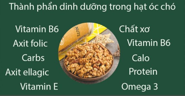 Vì sao hạt óc chó trở thành món quà sức khỏe lý tưởng?