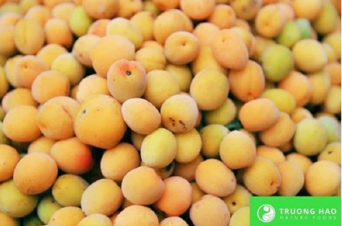 Từ quả mơ truyền thống đến món quà thời thượng Từ quả mơ truyền thống đến món quà thời thượng
