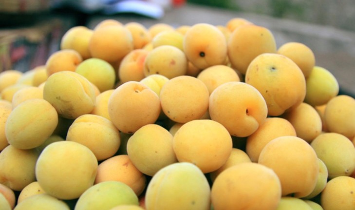 Giàu vitamin A – Bảo vệ đôi mắt, tăng cường hệ miễn dịch