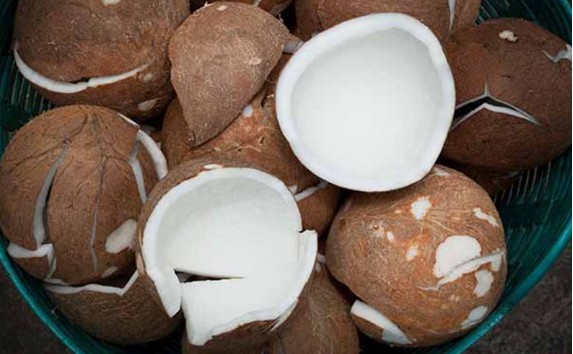 Quy trình chế biến mứt dừa non Quy trình chế biến mứt dừa non
