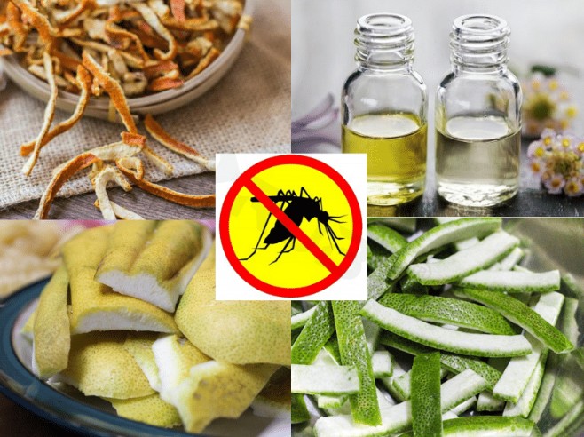 Khử mùi, đuổi côn trùng, làm sạch không khí Khử mùi, đuổi côn trùng, làm sạch không khí