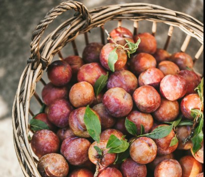 ô mai mận hậu xào gừng ô mai mận hậu xào gừng