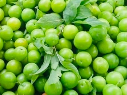 1kg mận cơm tươi