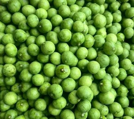 Vị sấu Hà Nội – Nét đặc trưng không thể lẫn