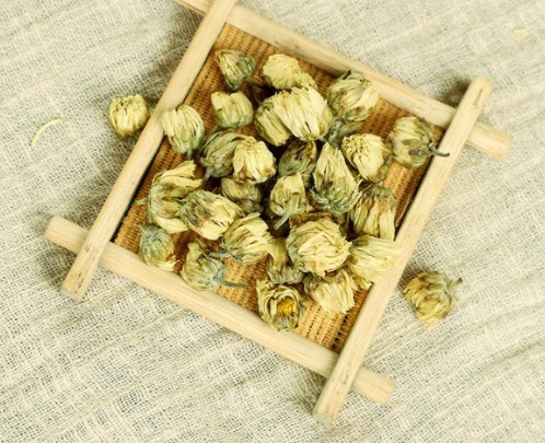 Nụ hoa cúc bao tử