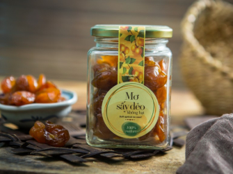 Mơ sấy dẻo không hạt Trường Hảo – Món quà sức khỏe hiện đại, thanh lịch