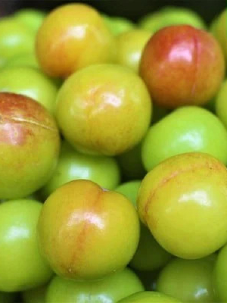 Mận cơm chua cay 200-500g